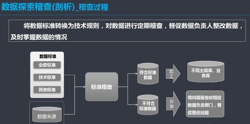 構(gòu)建高效數(shù)據(jù)治理體系 信息系統(tǒng)集成服務(wù)視角下的實(shí)施方案